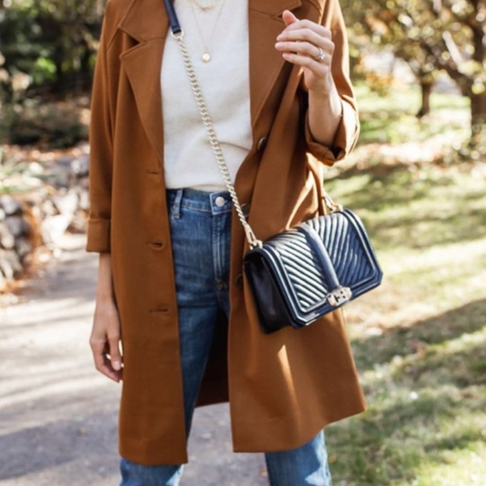 NWT Everlane The Dream Coat XS